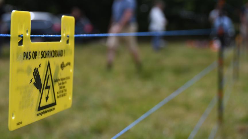 Met al 533 aanvragen dit jaar kent het Wolf Fencing Team een recordjaar.