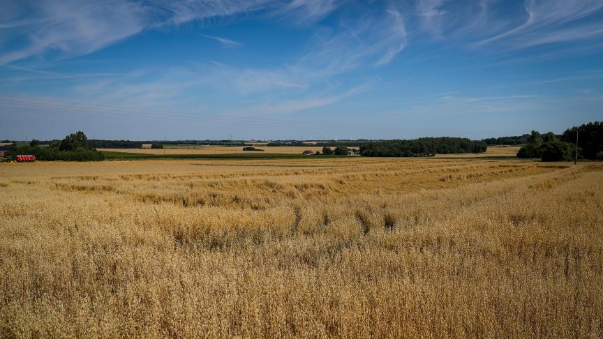 Landbouwgrond wordt stilaan onbetaalbaar, zeker voor jonge boeren en starters. De hectarepremies jagen de grondprijs aan.