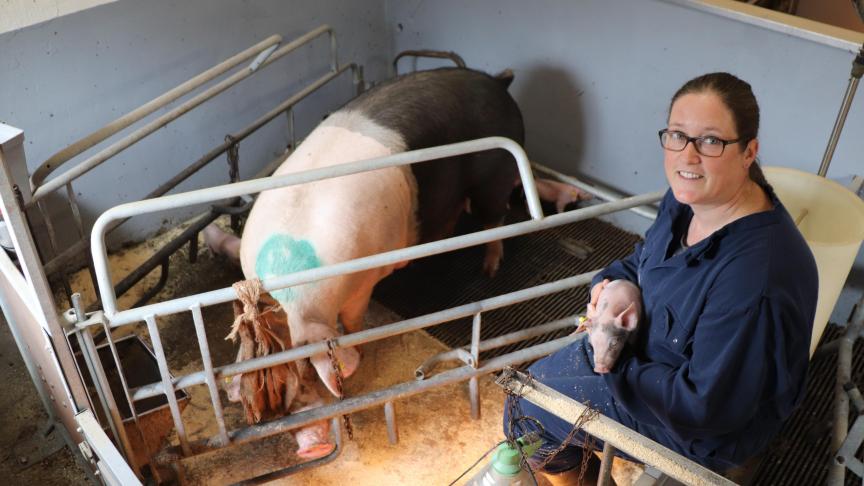 Jaarlijks kijken er zo’n 14.000 mensen  mee binnen op het varkens- en melkveebedrijf van Christian en Sabine van de Kamp.