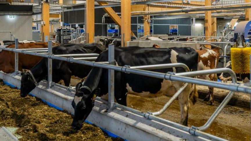 De meest klimaatvriendelijke melk uitgedrukt per liter melk komt uit Vlaanderen.