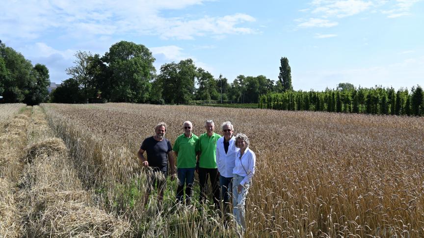 Een deel van de ploeg achter Het Traagste Brood, met vanaf links landbouwer René Busschots, de helpers Fons Van Uyttendaele en Stfan Verschoren en Marc Van Eeckhout en Lutgart Lyen.