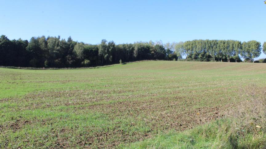 Het verlies aan landbouwgrond door zonevreemde functiewijzigingen sinds 2019 kan worden geschat op ten minste 990 ha.