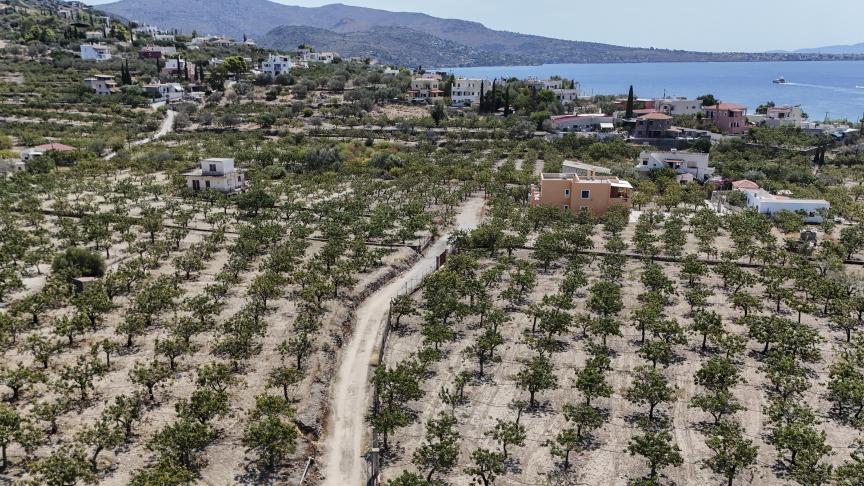 Het Griekse netwerk zou onder meer frauduleus landbouwgronden die hun eigendom niet waren aangegeven hebben, om Europese subsidies te krijgen.