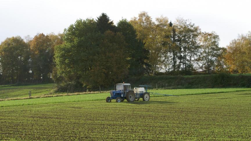 De beste resultaten krijg je steeds op velden waarop je tijdig kan behandelen.