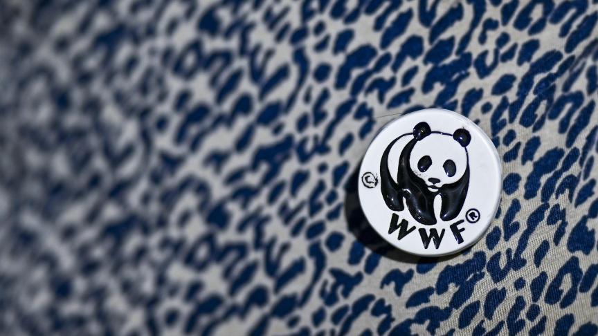 Extreme weersomstandigheden veroorzaakt door het veranderende klimaat ondermijnen de verzekeringsmarkt, zegt WWF.