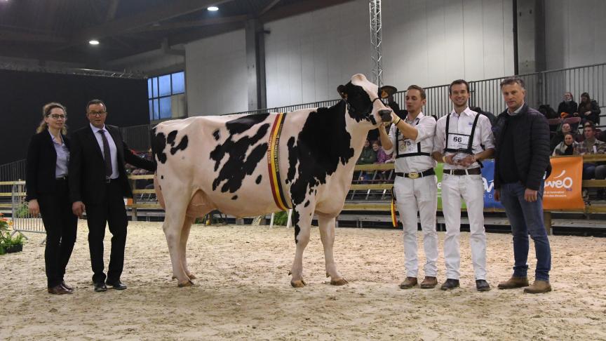 Het Brussels Gewest verbiedt sinds 2024 om levende dieren tentoon te stellen op markten, beurzen, dierententoonstellingen en bij soortgelijke gelegenheden.