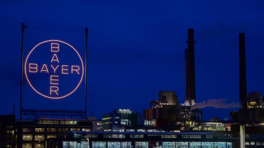 Los van het opzijgelegde geld deed Bayer het beter dan verwacht.
