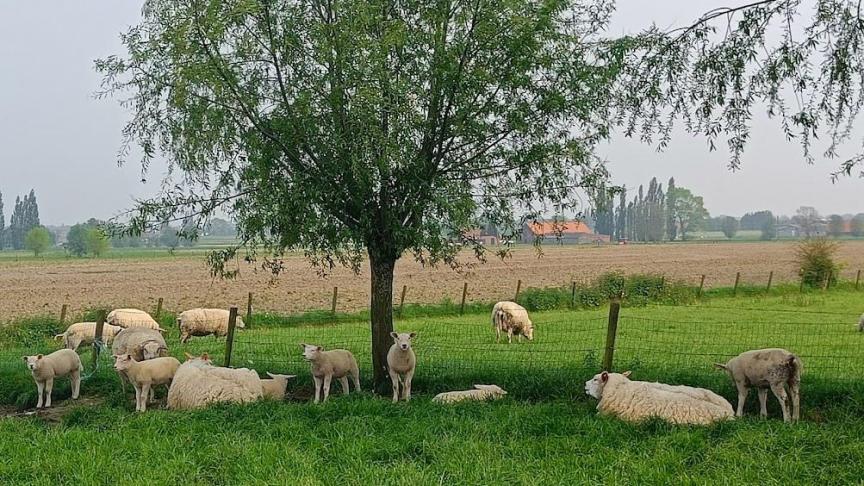 Beschutting bieden wordt straks overal verplicht, zowel in de zomer als in de winter