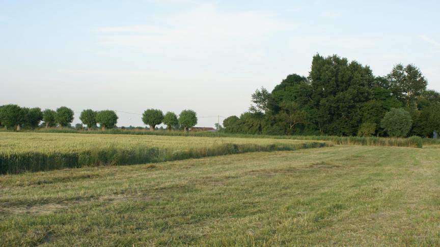 Het Vlaams Pachtdecreet voorziet sowieso in de verplichting voor de nieuwe eigenaar om de bestaande pachtovereenkomst te respecteren, aangezien deze nieuwe eigenaar door de aankoop in de rechten en verplichtingen van de verpachter treedt.
