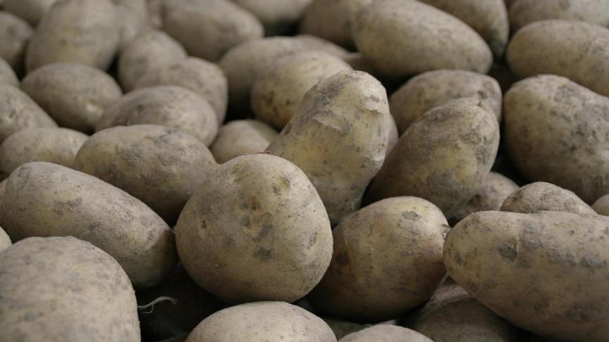 Sectororganisatie Belgapom meldt op 14 november een notering van 15 euro/ton (zonder btw) voor het aardappelras Fontane.