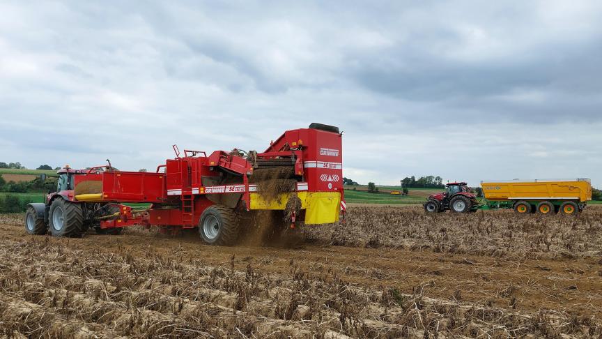 Belpotato.be keurde een vernieuwde versie goed van de Gedragscode voor aardappelcontracten.