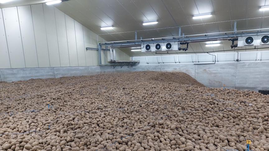 Omwille van meerdere redenen tonen de bewaaraardappelen zich nu bijzonder kiemlustig.