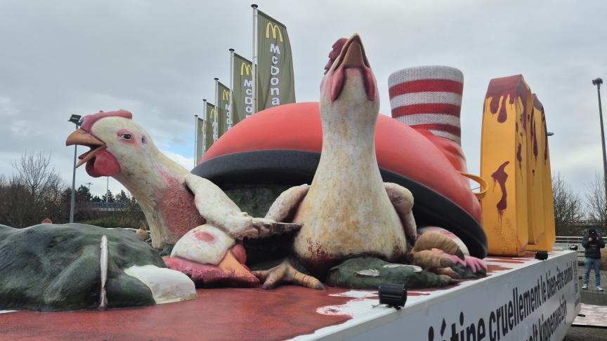 Met als symbool de schoen van mascotte Ronald McDonald die kippen verplettert, klaagt GAIA de wanpraktijken bij de leverancier van het fastfoodbedrijf aan.