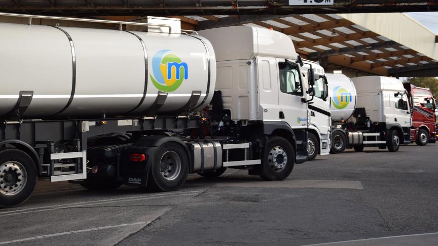 De Milcobel standaard melkprijs zakt naar een dieptepunt van 37 euro/100l.