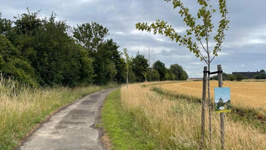 De VLM geeft opnieuw steun aan lokale projecten voor hetaanplanten vanhoutkanten.