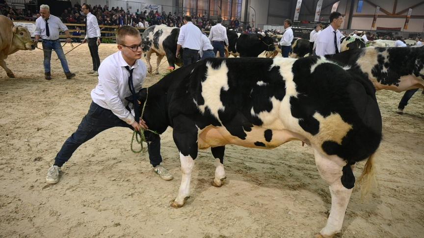 De omvang is moeilijk in te schatten, maar de afwezigheid van dieren op de beurs zal een impact hebben op de bezoekersaantallen.