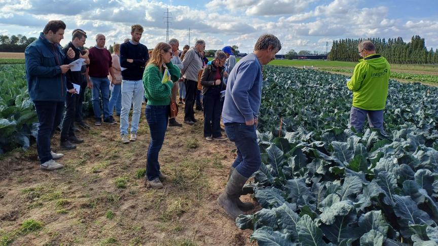 Geert Desmedt, teeltverantwoordelijke prei & kolen (rechts op de foto), gaf uitleg bij de rassenproef broccoli.