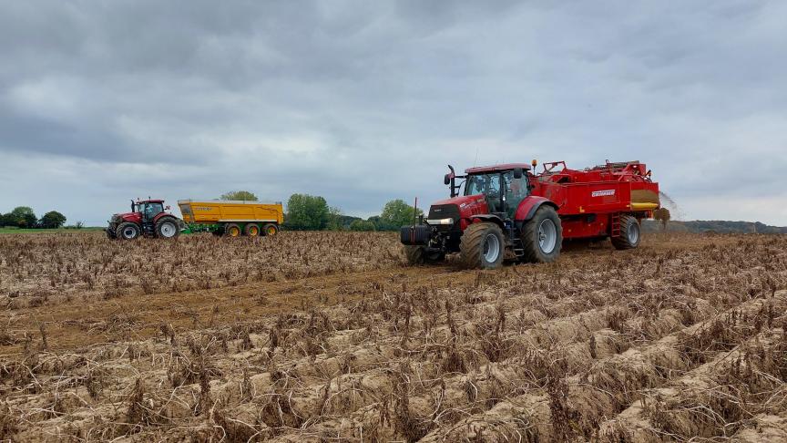 De NEPG raadt aardappeltelers aan om hun areaal voor 2026 kritisch te bekijken.