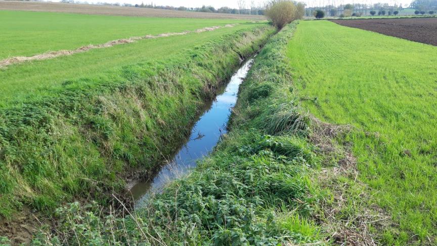 Vanaf 2026 kan je 2 nieuwe ecoregelingen aanvragen op beschermingsstroken langs alle VHA-waterlopen.