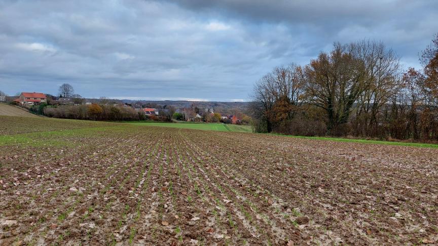 Een enquête peilt naar de werkelijke resultaten en naar de knelpunten en verbetervoorstellen voor de verschillende ecomaatregelen.