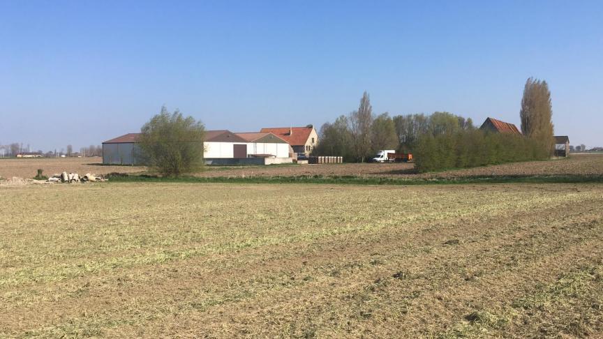De projectoproep richt zich naar onderzoek in de biologische landbouw.