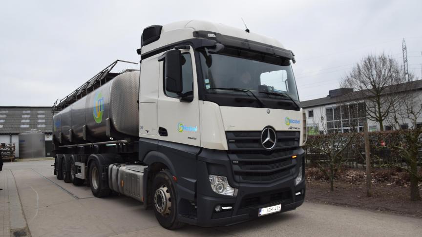 België en Nederland noteerden in oktober recordmelkproducties.