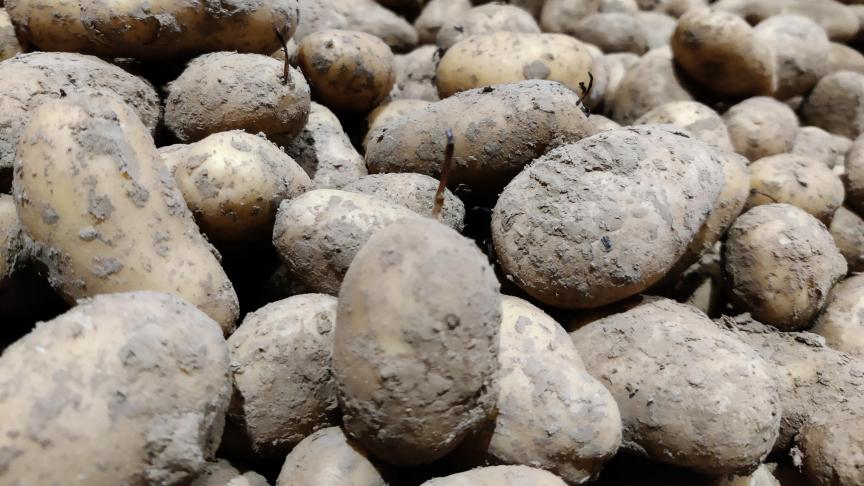 De Belgapomnotering wijzigde niet op 12 december.