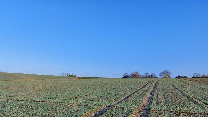 De luchtkwaliteit in ons land is het afgelopen jaar licht achteruitgegaan ten opzichte van 2024.