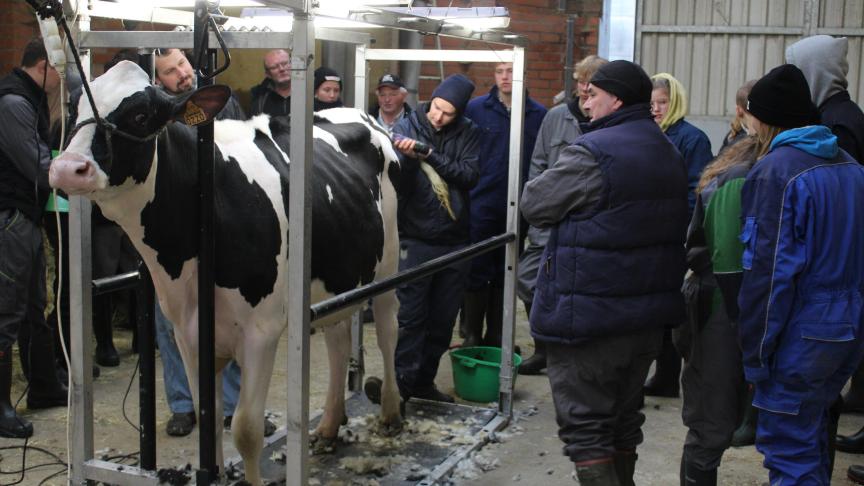 Om de leerlingen optimaal voor te bereiden, wordt de kunst van het clippen en showen toegelicht tijdens instructielessen.