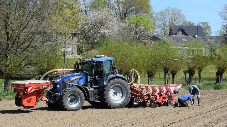 Het juiste maïsras zaaien is geen evidentie.