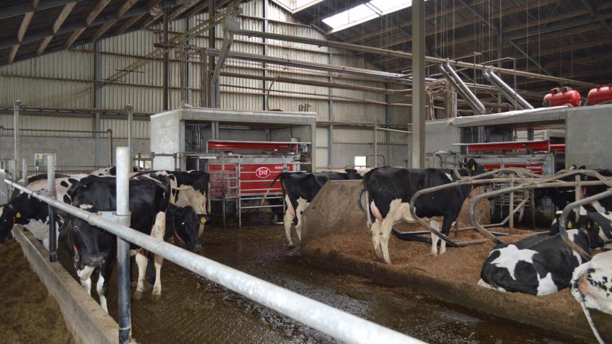 De export van land- en tuinbouwproducten van Nederland naar België nam in 2025 toetot 17,1 miljard euro.