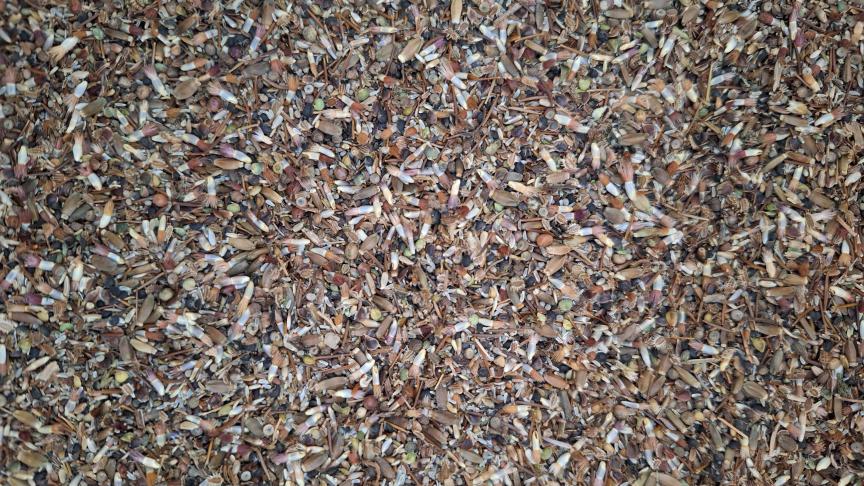 Een mengsel autochtoon zaadmateriaal van diverse wilde bloemen.