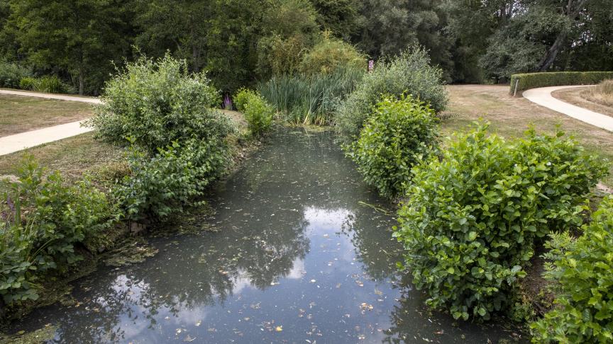 Grondwaterpeilen en debieten van onbevaarbare waterlopen staan laag, ondanks de normale hoeveelheid regen in januari.