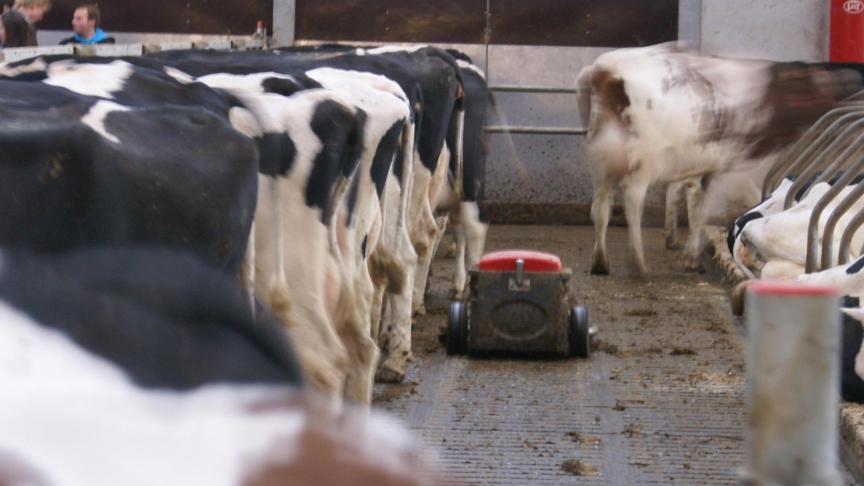 Zowel in Nederland als in Vlaanderen wijst men op de beperkingen van een eenzijdige stikstofbenadering als beoordelingskader voor de staat van de natuur.