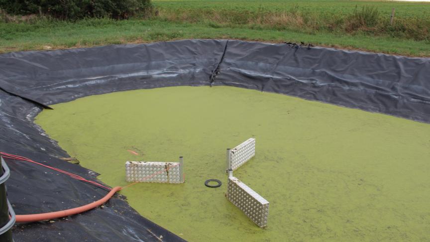 Een van de gestarte Leader-projecten zet in op de innovatieve teelt en verwerking van waterlinzen (eendenkroos).