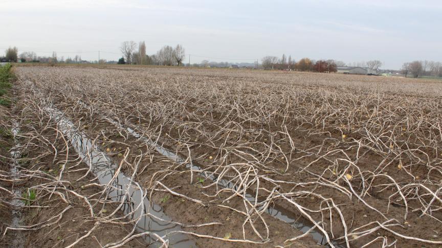 Minister Brouns is op zoek naar voldoende budget om de brede weersverzekering haalbaar en betaalbaar te houden.