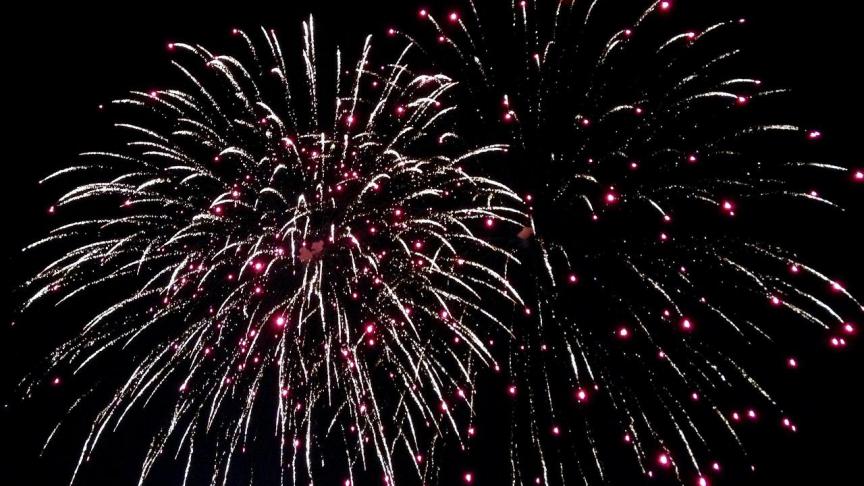 In Nederland zijn recent stappen gezet naar een nationaal verbod op de verkoop en het gebruik van vuurwerk door particulieren.