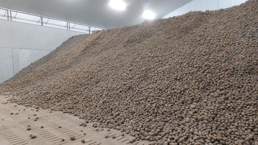 De aardappelvoorraad lag dit jaar op 1 februari zo’n 30% hoger dan vorig jaar.