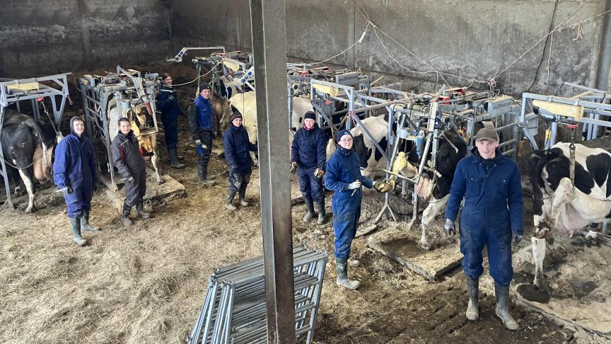 Vier Deense en 4 Zweedse studenten volgden 3 weken Hoofcare Management aan het VABI Roeselare.