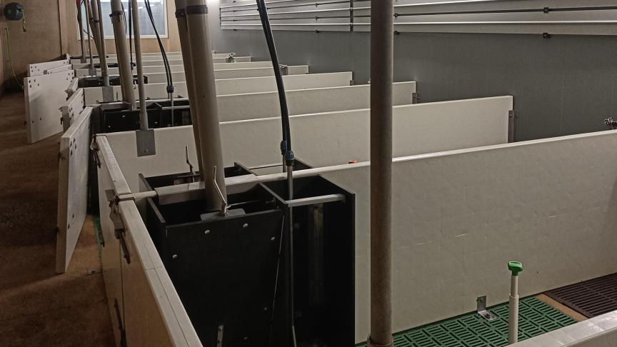 De biggenbatterij na reiniging en ontsmetting.