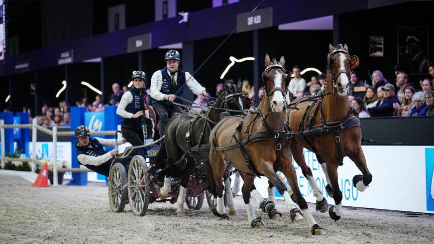 Onze landgenoot Dries Degrieck en zijn span: een Belgische zekerheid die ‘certain’ werd in Bordeaux in de FEI Worldcup Final Driving 2025-2026.