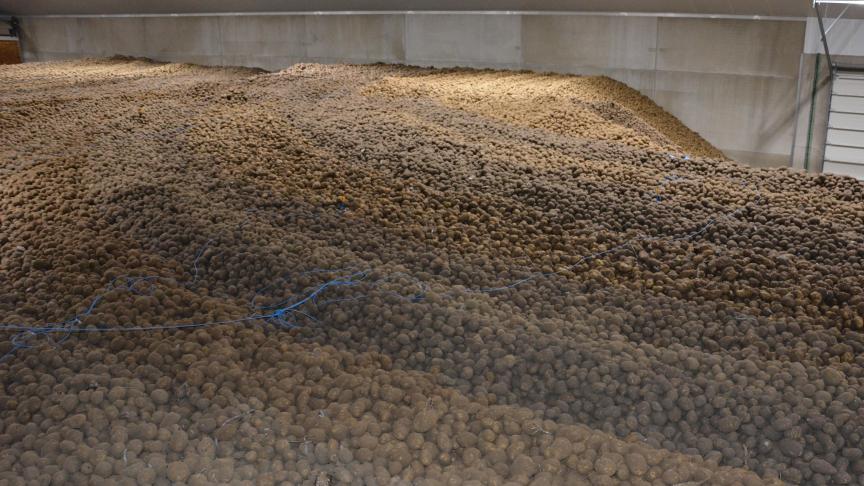 Belgapom meldt op 20 februari een notering van 15 euro/ton (zonder btw) voor de rassen Fontane en Challenger op de vrije markt.