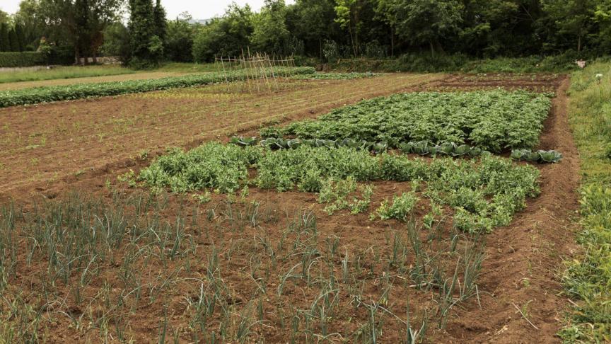 Een doordacht grondenbeleid vraagt volgens Wervel tijd, visie en samenwerking.