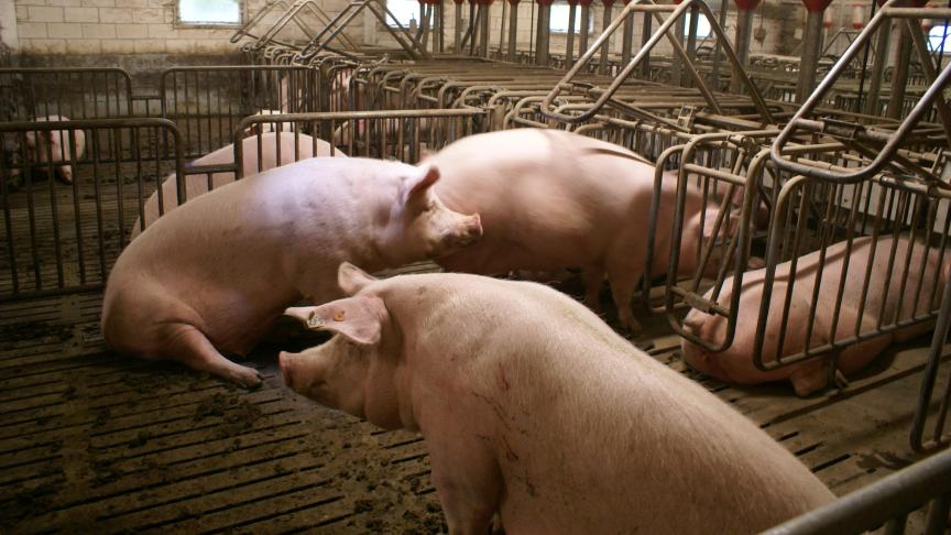 Je kan een projectaanvraag voor PAS-innovatiesteun indienen tot 24 april.