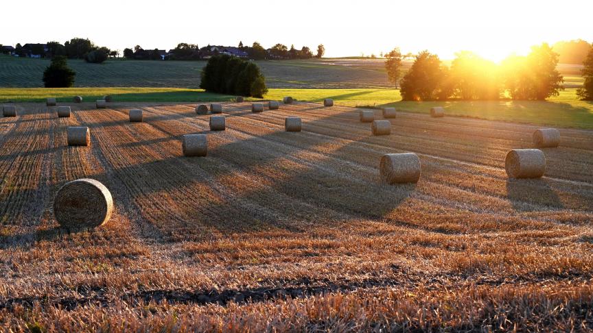 De Europese Rekenkamer stelt dat landbouwinnovatie voldoende voedingsbodem in de EU mist.