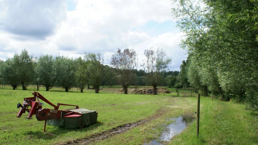De Brabantse Wouden herbergen agrarische vlaktes, bossen en open velden.