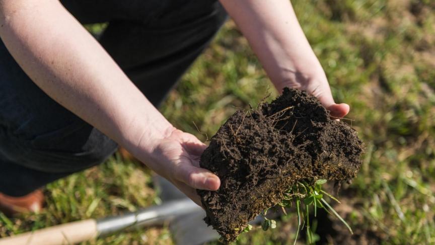 Een nieuw project met landbouwers uit de provincies Antwerpen en Vlaams-Brabant onderzoekt wat agro-ecologische keuzes écht doen met het bodemleven