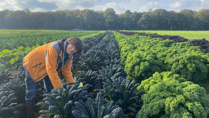 Wervel pleit ervoor dat 2026 het jaar wordt waarin we de rechten van de boerin eindelijk serieus nemen.