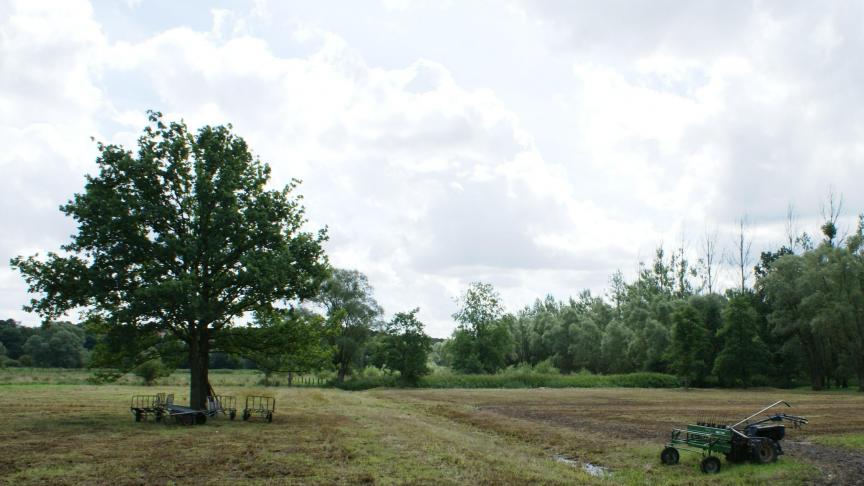 De Belgische Biodiversiteitscoalitie roept op om een ambitieus Natuurherstelplan in te dienen bij Europa.