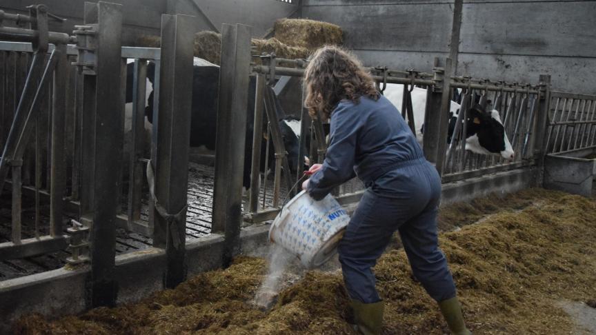 Gezinsbedrijven zullen meer moeten samenwerken om te overleven in de toekomst, maar hoe ze dat doen, kiezen ze zelf, besluit ILVO.